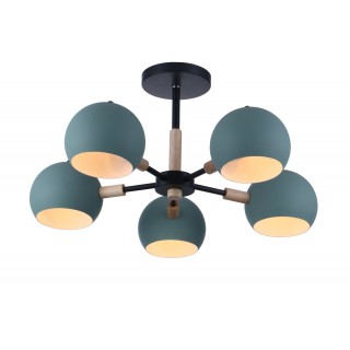 Потолочный светильник Freya FR5032CL-05B-foto2