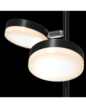 Напольный светильник (торшер) Maytoni MOD070FL-L12B3K-foto4