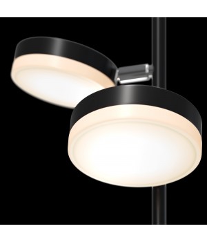 Напольный светильник (торшер) Maytoni MOD070FL-L12B3K-foto4