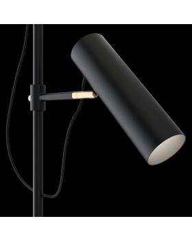 Напольный светильник (торшер) Maytoni MOD129FL-01B-foto3