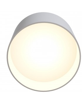 Потолочный светильник Technical C009CW-L12W-foto9