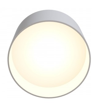 Потолочный светильник Technical C009CW-L12W-foto9