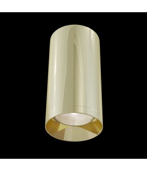 Потолочный светильник Technical C010CL-01G-foto2