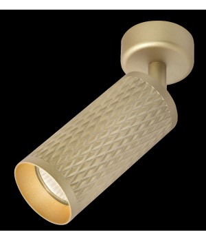 Потолочный светильник Technical C034CL-01G-foto2