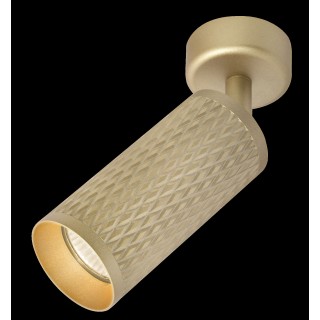 Потолочный светильник Technical C034CL-01G-foto2