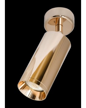 Потолочный светильник Technical C017CW-01RG-foto2