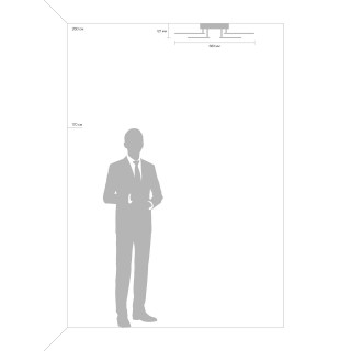Потолочный светильник Freya FR10016CL-L73W-foto9