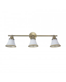 Спот Freya FR2272-CW-03-BS-foto5