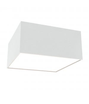 Потолочный светильник Technical C067CL-L12W4K-foto2