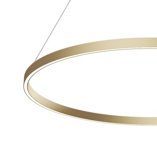 Подвесной светильник Maytoni MOD058PL-L54BS4K-foto2