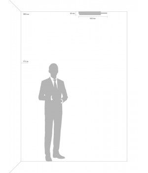 Потолочный светильник Freya FR10032CL-L98B-foto7