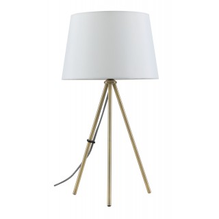 Настольный светильник Freya FR5118TL-01BS-foto2