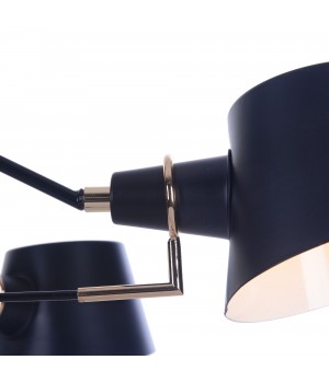 Люстра Freya FR5038-CL-06-B-foto7