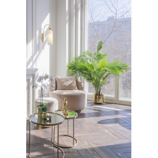 Настенный светильник (бра) Maytoni MOD302WL-01W-foto2