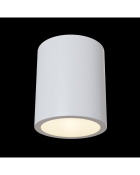 Потолочный светильник Technical C001CW-01W-foto2