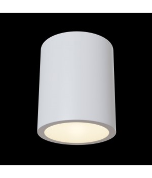 Потолочный светильник Technical C001CW-01W-foto2