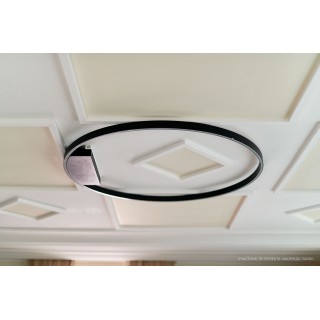 Потолочный светильник Maytoni MOD058CL-L65B4K-foto3