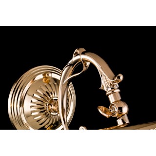 Подсветка Maytoni PIC114-02-G-foto4