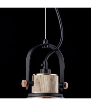 Подвесной светильник Maytoni T163PL-01C-foto7