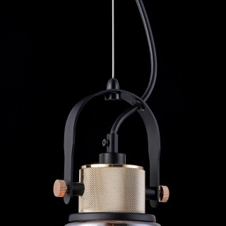 Подвесной светильник Maytoni T163PL-01C-foto7