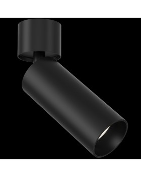 Потолочный светильник Technical C055CL-L12B3K-foto5