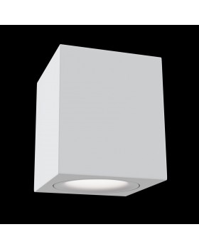 Потолочный светильник Technical C013CL-01W-foto4