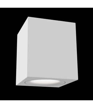 Потолочный светильник Technical C013CL-01W-foto4