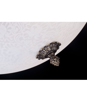 Потолочный светильник Maytoni C908-CL-04-R-foto6