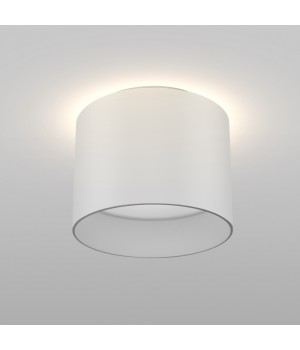 Потолочный светильник Technical C009CW-L12W-foto6