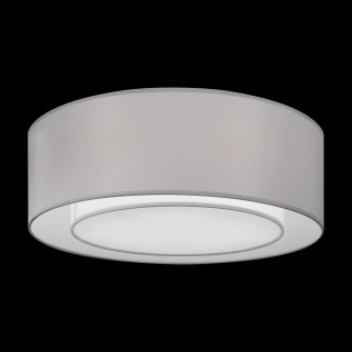 Потолочный светильник Maytoni MOD617CL-04GR-foto3