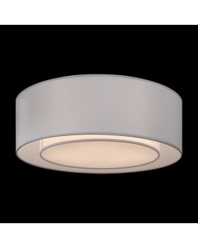 Потолочный светильник Maytoni MOD617CL-04GR-foto2