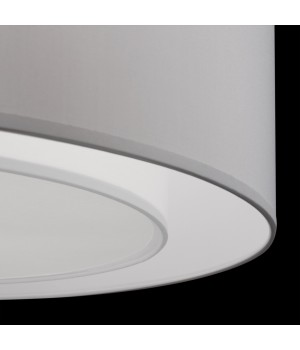 Потолочный светильник Maytoni MOD617CL-04GR-foto6