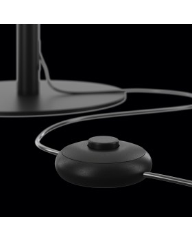 Напольный светильник (торшер) Maytoni Z012FL-L18B3K-foto5