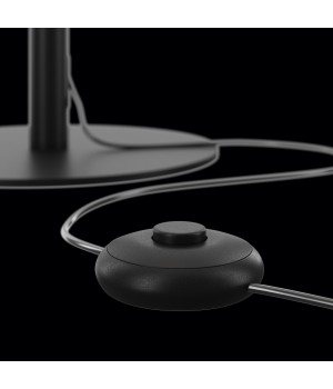 Напольный светильник (торшер) Maytoni Z012FL-L18B3K-foto5