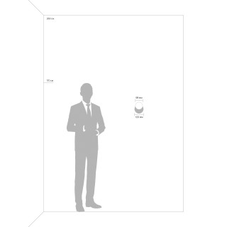 Спот Freya FR10010CW-L6W-foto5