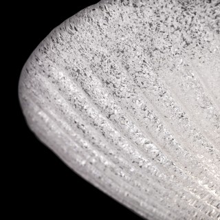 Потолочный светильник Maytoni C809CL-04CH-foto7