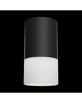 Потолочный светильник Technical C007CW-01B-foto3