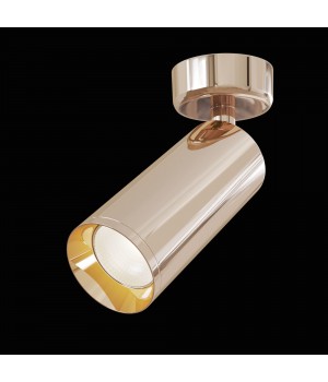 Потолочный светильник Technical C017CW-01RG-foto3