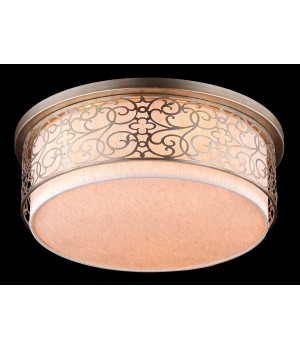 Потолочный светильник Maytoni H260-05-N-foto2