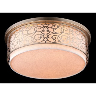 Потолочный светильник Maytoni H260-05-N-foto2