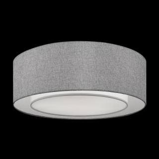 Потолочный светильник Maytoni MOD613CL-04GR-foto4