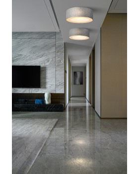 Потолочный светильник Maytoni MOD613CL-04GR-foto2