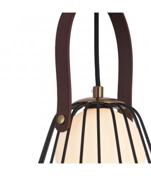 Подвесной светильник Maytoni MOD544PL-01B-foto12