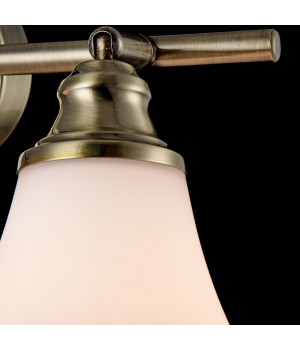 Спот Freya FR2272-CW-02-BS-foto6