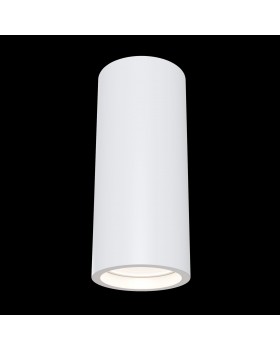 Потолочный светильник Technical C004CW-01W-foto3