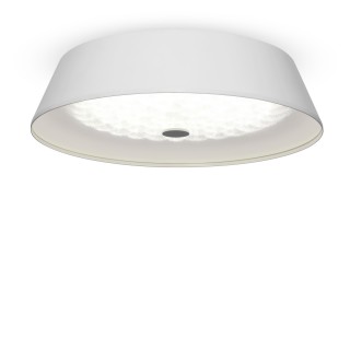 Потолочный светильник Freya FR10013CL-L24W-foto2