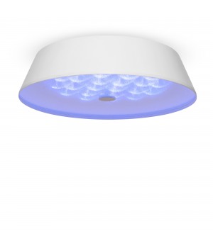 Потолочный светильник Freya FR10013CL-L24W-foto10