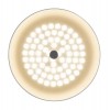 Потолочный светильник Freya FR10013CL-L24W