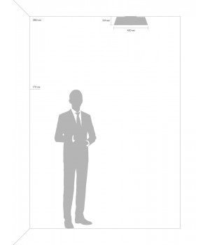 Потолочный светильник Freya FR10013CL-L24W-foto4