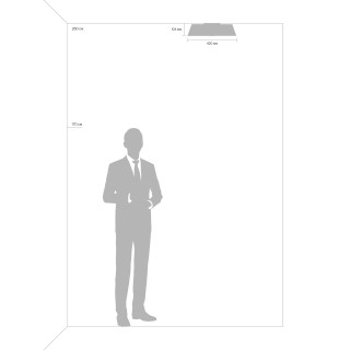 Потолочный светильник Freya FR10013CL-L24W-foto4